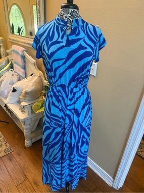 Women's Blue Zebra-Print Maxi Dress with Elastic Waist